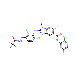 Cn1c(Nc2c(Cl)ccc(CNC(=O)C(C)(C)C)c2Cl)nc2cc(C(=O)Nc3cc(Cl)ccc3Cl)c(F)cc21 ZINC000169703071