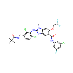 Cn1c(Nc2c(Cl)ccc(CNC(=O)C(C)(C)C)c2Cl)nc2cc(C(=O)Nc3cc(F)cc(Cl)c3)c(OCC(F)F)cc21 ZINC000169703095