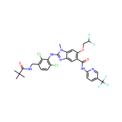 Cn1c(Nc2c(Cl)ccc(CNC(=O)C(C)(C)C)c2Cl)nc2cc(C(=O)Nc3ccc(C(F)(F)F)cn3)c(OCC(F)F)cc21 ZINC000169703127