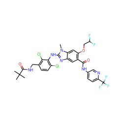 Cn1c(Nc2c(Cl)ccc(CNC(=O)C(C)(C)C)c2Cl)nc2cc(C(=O)Nc3ccc(C(F)(F)F)nc3)c(OCC(F)F)cc21 ZINC000169703105