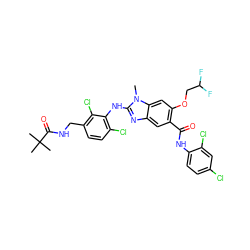 Cn1c(Nc2c(Cl)ccc(CNC(=O)C(C)(C)C)c2Cl)nc2cc(C(=O)Nc3ccc(Cl)cc3Cl)c(OCC(F)F)cc21 ZINC000169703126