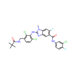 Cn1c(Nc2c(Cl)ccc(CNC(=O)C(C)(C)C)c2Cl)nc2cc(C(=O)Nc3ccc(F)c(Cl)c3)c(F)cc21 ZINC000169703066