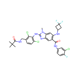 Cn1c(Nc2c(Cl)ccc(CNC(=O)C(C)(C)C)c2Cl)nc2cc(C(=O)Nc3ccc(F)c(Cl)c3)c(NC3CC(F)(F)C3)cc21 ZINC000169700882