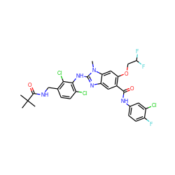 Cn1c(Nc2c(Cl)ccc(CNC(=O)C(C)(C)C)c2Cl)nc2cc(C(=O)Nc3ccc(F)c(Cl)c3)c(OCC(F)F)cc21 ZINC000169703078