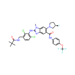 Cn1c(Nc2c(Cl)ccc(CNC(=O)C(C)(C)C)c2Cl)nc2cc(C(=O)Nc3ccc(OC(F)(F)F)cc3)c(N3CC[C@@H](F)C3)cc21 ZINC000169701059