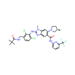 Cn1c(Nc2c(Cl)ccc(CNC(=O)C(C)(C)C)c2Cl)nc2cc(C(=O)Nc3cccc(C(F)(F)F)n3)c(N3CC[C@@H](F)C3)cc21 ZINC000169701063