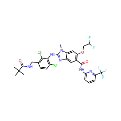 Cn1c(Nc2c(Cl)ccc(CNC(=O)C(C)(C)C)c2Cl)nc2cc(C(=O)Nc3cccc(C(F)(F)F)n3)c(OCC(F)F)cc21 ZINC000169703134