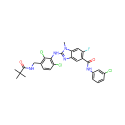 Cn1c(Nc2c(Cl)ccc(CNC(=O)C(C)(C)C)c2Cl)nc2cc(C(=O)Nc3cccc(Cl)c3)c(F)cc21 ZINC000169703067