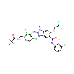 Cn1c(Nc2c(Cl)ccc(CNC(=O)C(C)(C)C)c2Cl)nc2cc(C(=O)Nc3cccc(Cl)c3F)c(OCC(F)F)cc21 ZINC000169703140