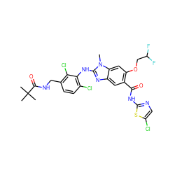 Cn1c(Nc2c(Cl)ccc(CNC(=O)C(C)(C)C)c2Cl)nc2cc(C(=O)Nc3ncc(Cl)s3)c(OCC(F)F)cc21 ZINC000169703096