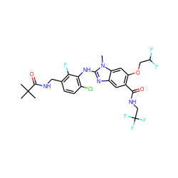 Cn1c(Nc2c(Cl)ccc(CNC(=O)C(C)(C)C)c2F)nc2cc(C(=O)NCC(F)(F)F)c(OCC(F)F)cc21 ZINC000169703144