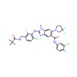 Cn1c(Nc2c(Cl)ccc(CNC(=O)C(C)(C)C)c2F)nc2cc(C(=O)Nc3ccc(F)c(Cl)c3)c(N3CCC(F)(F)C3)cc21 ZINC000169700921