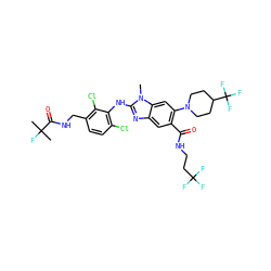 Cn1c(Nc2c(Cl)ccc(CNC(=O)C(C)(C)F)c2Cl)nc2cc(C(=O)NCCC(F)(F)F)c(N3CCC(C(F)(F)F)CC3)cc21 ZINC000169701076