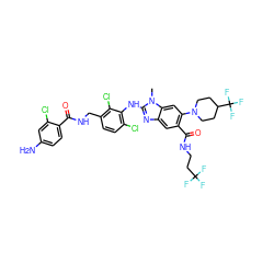 Cn1c(Nc2c(Cl)ccc(CNC(=O)c3ccc(N)cc3Cl)c2Cl)nc2cc(C(=O)NCCC(F)(F)F)c(N3CCC(C(F)(F)F)CC3)cc21 ZINC000169701045