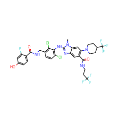 Cn1c(Nc2c(Cl)ccc(CNC(=O)c3ccc(O)cc3F)c2Cl)nc2cc(C(=O)NCCC(F)(F)F)c(N3CCC(C(F)(F)F)CC3)cc21 ZINC000169701042