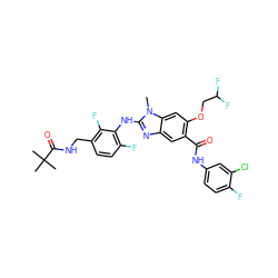 Cn1c(Nc2c(F)ccc(CNC(=O)C(C)(C)C)c2F)nc2cc(C(=O)Nc3ccc(F)c(Cl)c3)c(OCC(F)F)cc21 ZINC000169703075