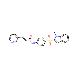 Cn1c(S(=O)(=O)c2ccc(NC(=O)/C=C/c3cccnc3)cc2)cc2ccccc21 ZINC000142240705