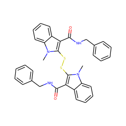 Cn1c(SSc2c(C(=O)NCc3ccccc3)c3ccccc3n2C)c(C(=O)NCc2ccccc2)c2ccccc21 ZINC000027726897