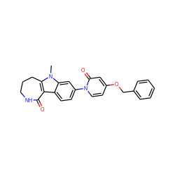 Cn1c2c(c3ccc(-n4ccc(OCc5ccccc5)cc4=O)cc31)C(=O)NCCC2 ZINC000169700513