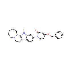 Cn1c2c(c3ccc(-n4ccc(OCc5ccccc5)cc4=O)cc31)CCN1CCCCC[C@@H]21 ZINC000113109720