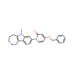 Cn1c2c(c3ccc(-n4ccc(OCc5ccccc5)cc4=O)cc31)CNCCC2 ZINC000068248170