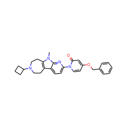 Cn1c2c(c3ccc(-n4ccc(OCc5ccccc5)cc4=O)nc31)CCN(C1CCC1)CC2 ZINC000115011923