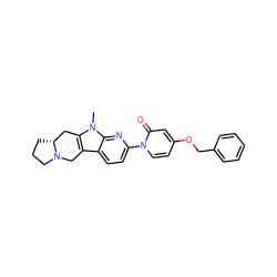 Cn1c2c(c3ccc(-n4ccc(OCc5ccccc5)cc4=O)nc31)CN1CCC[C@@H]1C2 ZINC000113109782