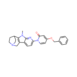Cn1c2c(c3ccc(-n4ccc(OCc5ccccc5)cc4=O)nc31)CN1CCC2CC1 ZINC000114087283