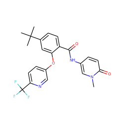 Cn1cc(NC(=O)c2ccc(C(C)(C)C)cc2Oc2ccc(C(F)(F)F)nc2)ccc1=O ZINC000223846753