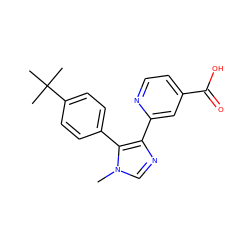 Cn1cnc(-c2cc(C(=O)O)ccn2)c1-c1ccc(C(C)(C)C)cc1 ZINC000225933105