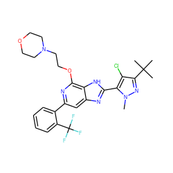 Cn1nc(C(C)(C)C)c(Cl)c1-c1nc2cc(-c3ccccc3C(F)(F)F)nc(OCCN3CCOCC3)c2[nH]1 ZINC000148093510