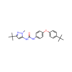 Cn1nc(C(C)(C)C)cc1NC(=O)Nc1ccc(Oc2ccc(C(C)(C)C)cc2)cc1 ZINC000013442511