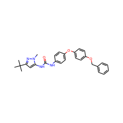 Cn1nc(C(C)(C)C)cc1NC(=O)Nc1ccc(Oc2ccc(OCc3ccccc3)cc2)cc1 ZINC000013442513