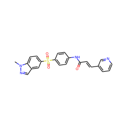 Cn1ncc2cc(S(=O)(=O)c3ccc(NC(=O)/C=C/c4cccnc4)cc3)ccc21 ZINC000225958688