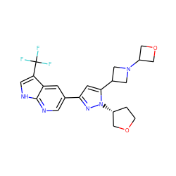 FC(F)(F)c1c[nH]c2ncc(-c3cc(C4CN(C5COC5)C4)n([C@@H]4CCOC4)n3)cc12 ZINC000146479143