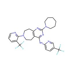 FC(F)(F)c1ccc(Nc2nc(N3CCCCCC3)nc3c2CCN(c2ncccc2C(F)(F)F)CC3)nc1 ZINC000147898383