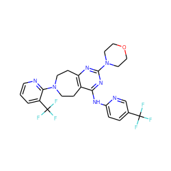 FC(F)(F)c1ccc(Nc2nc(N3CCOCC3)nc3c2CCN(c2ncccc2C(F)(F)F)CC3)nc1 ZINC000064549607