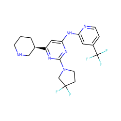 FC1(F)CCN(c2nc(Nc3cc(C(F)(F)F)ccn3)cc([C@@H]3CCCNC3)n2)C1 ZINC000221718008