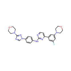 Fc1cc(-c2ccnc(Nc3ccc(-n4cnc(N5CCOCC5)n4)cc3)n2)cc(N2CCOCC2)c1 ZINC000044460355