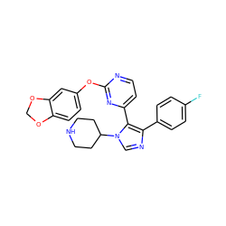 Fc1ccc(-c2ncn(C3CCNCC3)c2-c2ccnc(Oc3ccc4c(c3)OCO4)n2)cc1 ZINC000034753277