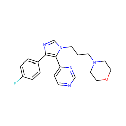 Fc1ccc(-c2ncn(CCCN3CCOCC3)c2-c2ccncn2)cc1 ZINC000021289881