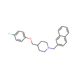 Fc1ccc(OCC2CCN(Cc3ccc4ccccc4c3)CC2)cc1 ZINC000000014950