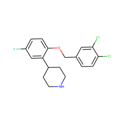 Fc1ccc(OCc2ccc(Cl)c(Cl)c2)c(C2CCNCC2)c1 ZINC000045283811