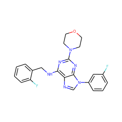 Fc1cccc(-n2cnc3c(NCc4ccccc4F)nc(N4CCOCC4)nc32)c1 ZINC000202060493