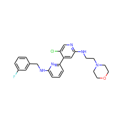 Fc1cccc(CNc2cccc(-c3cc(NCCN4CCOCC4)ncc3Cl)n2)c1 ZINC000169703767