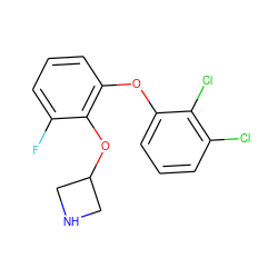 Fc1cccc(Oc2cccc(Cl)c2Cl)c1OC1CNC1 ZINC000066112440