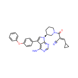 N#C/C(=C\C1CC1)C(=O)N1CCC[C@H](n2cc(-c3ccc(Oc4ccccc4)cc3)c3c(N)ncnc32)C1 ZINC000148853272