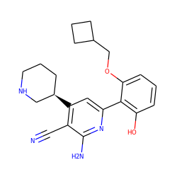 N#Cc1c([C@@H]2CCCNC2)cc(-c2c(O)cccc2OCC2CCC2)nc1N ZINC000028359551