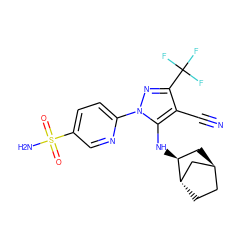 N#Cc1c(C(F)(F)F)nn(-c2ccc(S(N)(=O)=O)cn2)c1N[C@H]1C[C@H]2CC[C@H]1C2 ZINC000253639195