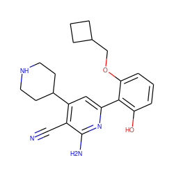 N#Cc1c(C2CCNCC2)cc(-c2c(O)cccc2OCC2CCC2)nc1N ZINC000028363181